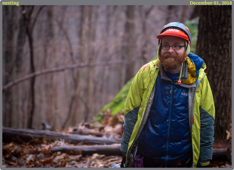 nesting, taken 2018-12-01 || Canon Canon EOS 6D | 100mm | 1/400s @ f/3.2