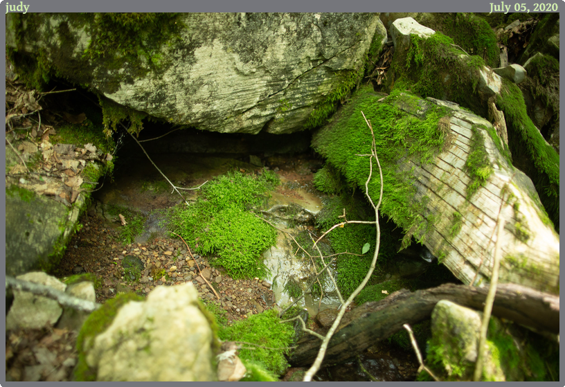 judy, taken 2020-07-05 || Canon Canon EOS 6D | 24mm | 1/50s @ f/1.4