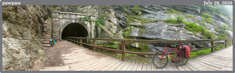 pawpaw, taken 2020-07-28 || Google Pixel 2 | None | None @ None