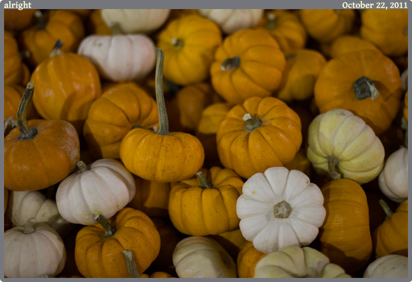 alright, taken 2011-10-22 || Canon Canon EOS REBEL T2i | 50mm | 1/80s @ f/1.4