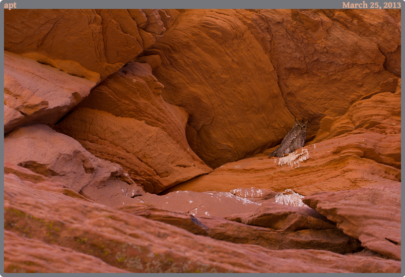 apt, taken 2013-03-25 || Canon Canon EOS REBEL T2i | 100mm | 1/100s @ f/4