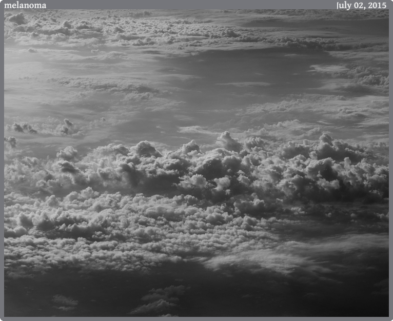 melanoma, taken 2015-07-02 || Canon Canon EOS 6D | 100mm | 1/800s @ f/8