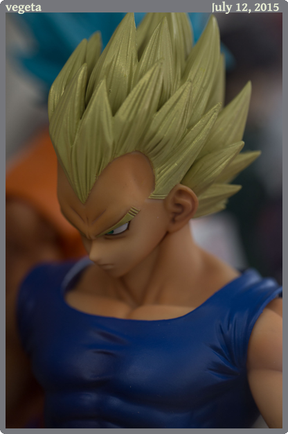 vegeta, taken 2015-07-12 || Canon Canon EOS 6D | 100mm | 1/60s @ f/4.5