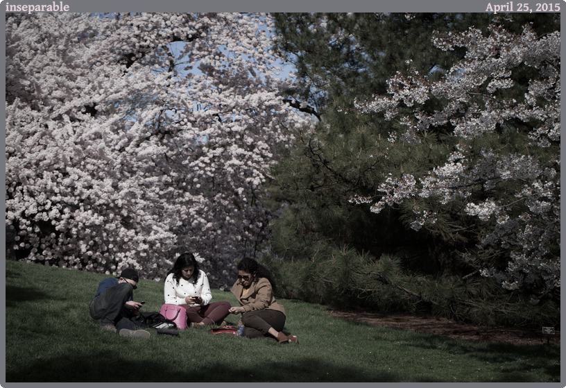 inseparable, taken 2015-04-25 || Canon Canon EOS 6D | 100mm | 1/640s @ f/5.6