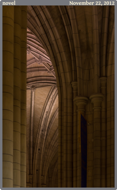 novel, taken 2012-11-22 || Canon Canon EOS REBEL T2i | 50mm | 1/20s @ f/2.2