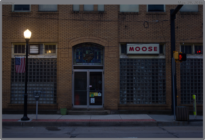 moose, taken 2016-05-29 || Canon Canon EOS REBEL T2i | 32mm | 1/30s @ f/4.5