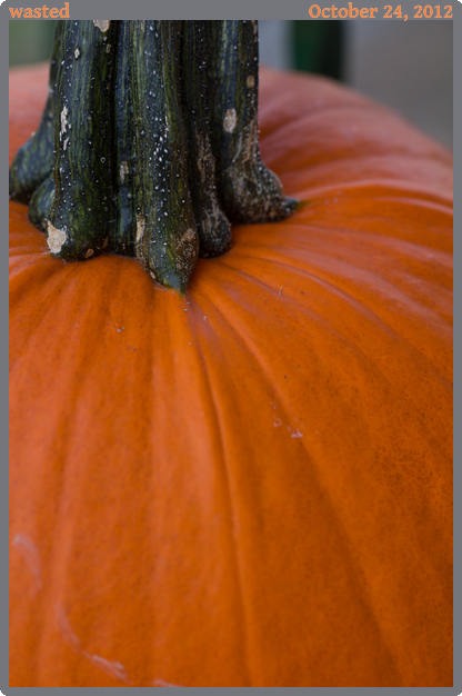 wasted, taken 2012-10-24 || Canon Canon EOS REBEL T2i | 100mm | 1/125s @ f/4