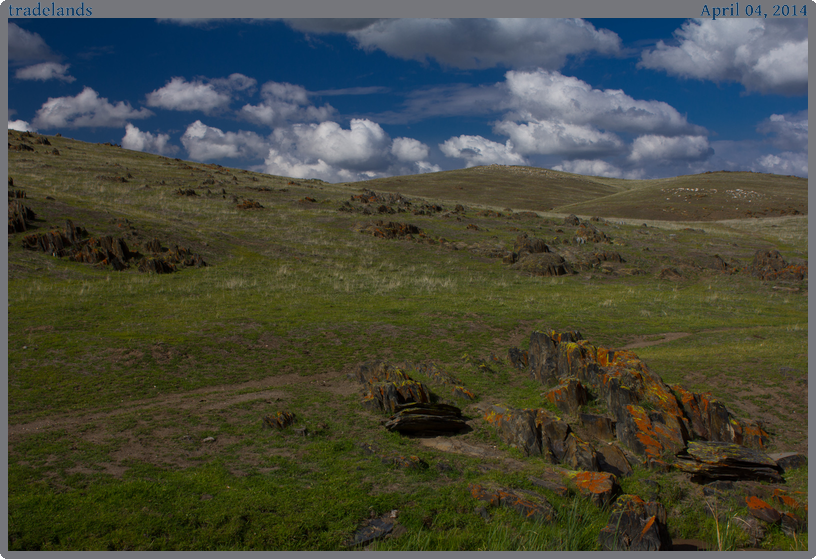 tradelands, taken 2014-04-04 || Canon Canon EOS REBEL T2i | 29mm | 1/80s @ f/9