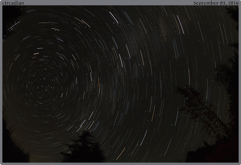 circadian, taken 2016-09-03 || None None | None | None @ None