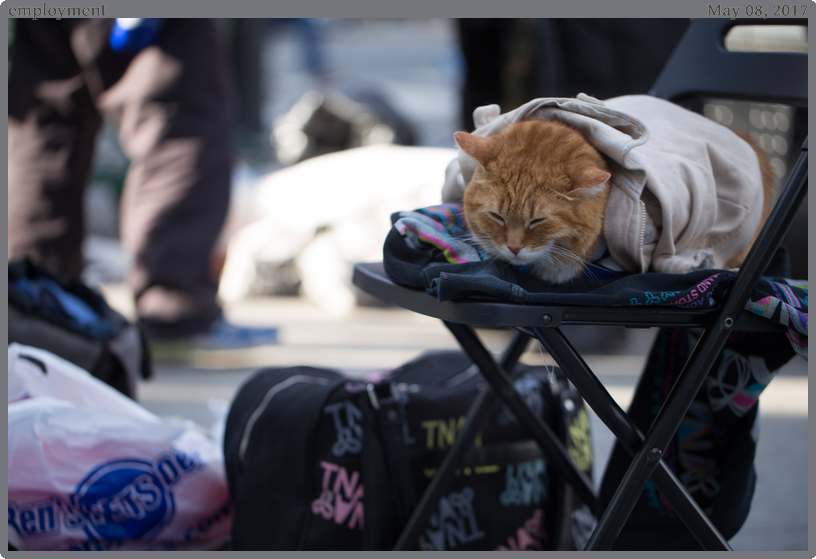 employment, taken 2017-05-08 || Canon Canon EOS 6D | 100mm | 1/160s @ f/2.8