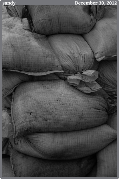 sandy, taken 2012-12-30 || Canon Canon EOS REBEL T2i | 55mm | 1/160s @ f/5.6