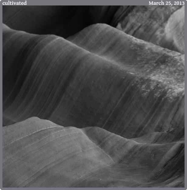 cultivated, taken 2013-03-25 || Canon Canon EOS REBEL T2i | 100mm | 1/50s @ f/4