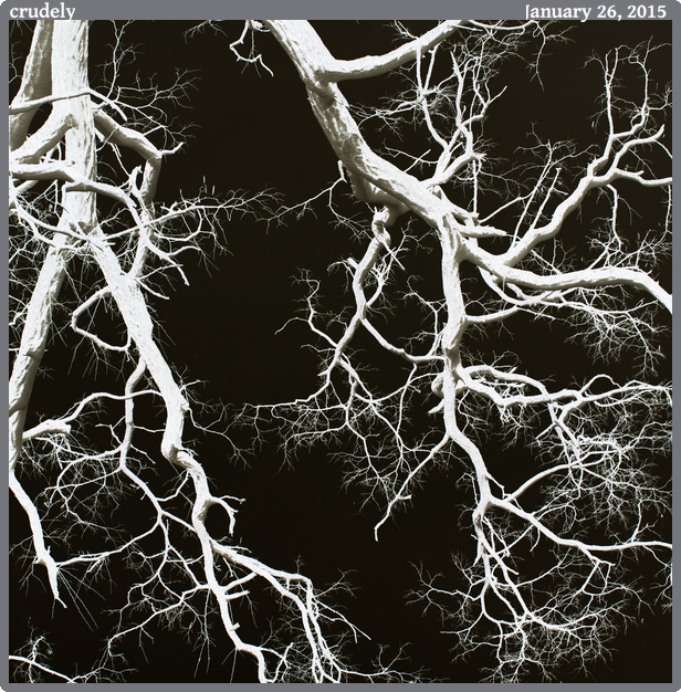 crudely, taken 2015-01-26 || None None | None | None @ None