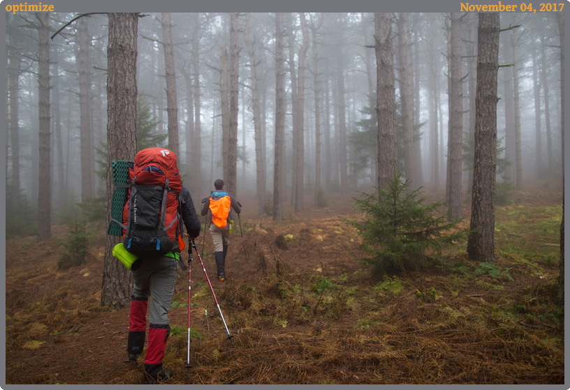optimize, taken 2017-11-04 || Canon Canon EOS 6D | 24mm | 1/400s @ f/2.2