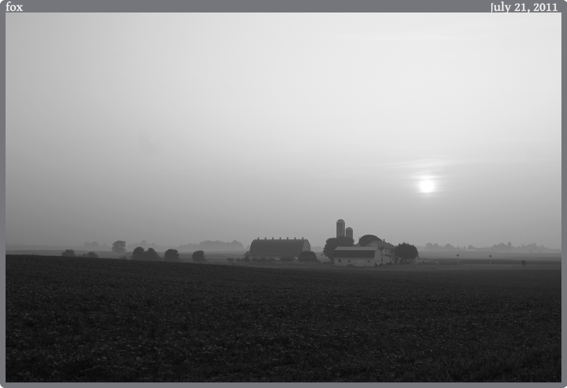 fox, taken 2011-07-21 || Canon Canon EOS REBEL T2i | 24mm | 1/250s @ f/7.1