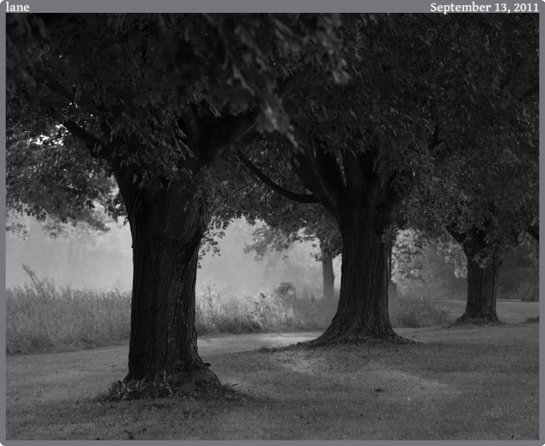 lane, taken 2011-09-13 || Canon Canon EOS REBEL T2i | 100mm | 1/80s @ f/3.5