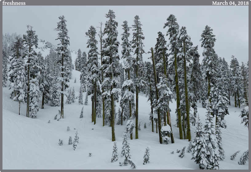 freshness, taken 2018-03-04 || Panasonic DC-ZS200 | 109mm | 1/2500s @ f/3.5 freshness, taken 2018-03-04 || Panasonic DC-ZS200 | 109mm | 1/2500s @ f/3.5