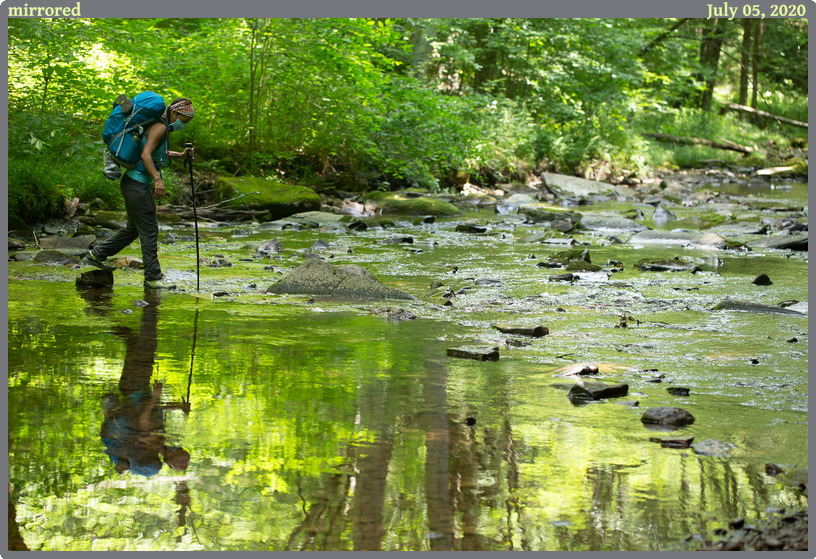 mirrored, taken 2020-07-05 || Canon Canon EOS 6D | 100mm | 1/125s @ f/3.5