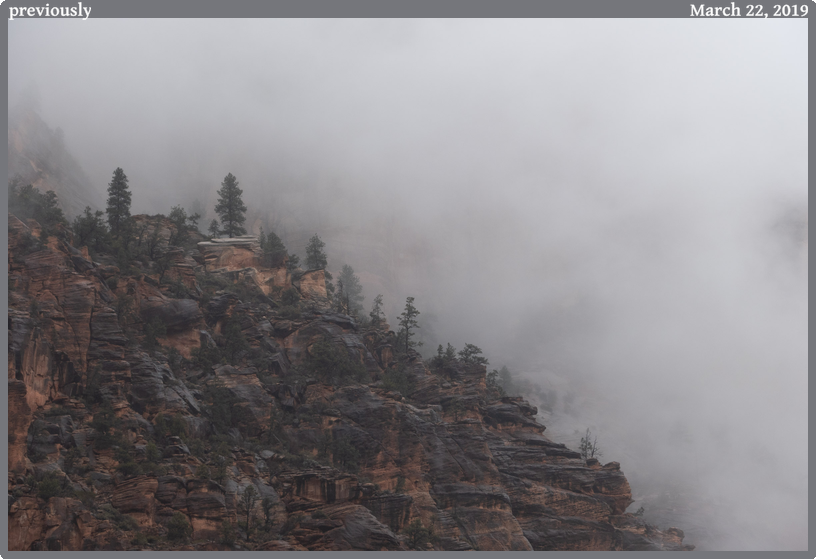 previously, taken 2019-03-22 || Panasonic DC-ZS200 | 487mm | 1/400s @ f/5.6