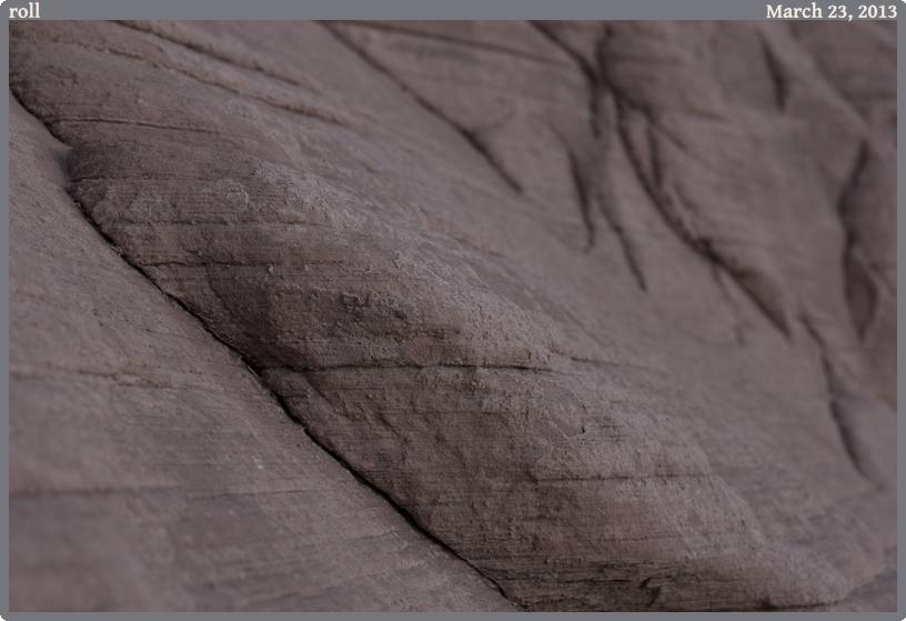 roll, taken 2013-03-23 || Canon Canon EOS REBEL T2i | 50mm | 1/50s @ f/4.5