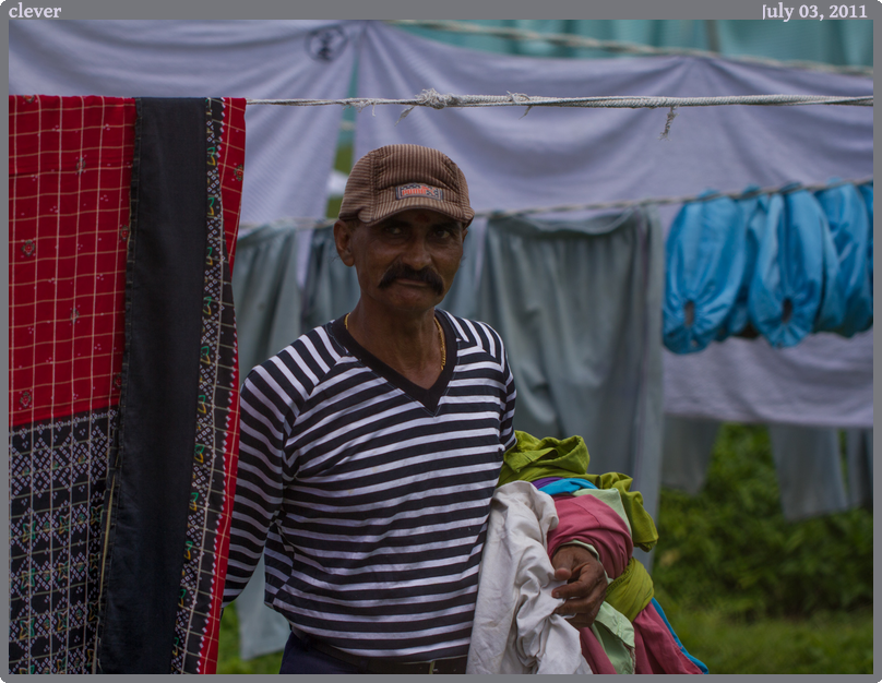 clever, taken 2011-07-03 || Canon Canon EOS REBEL T2i | 100mm | 1/1600s @ f/2.8