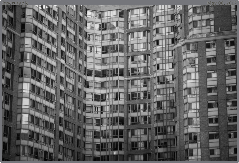 inscrutable, taken 2017-05-08 || Canon Canon EOS 6D | 100mm | 1/800s @ f/2.8