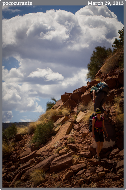 pococurante, taken 2013-03-29 || Canon Canon EOS REBEL T2i | 100mm | 1/640s @ f/6.3