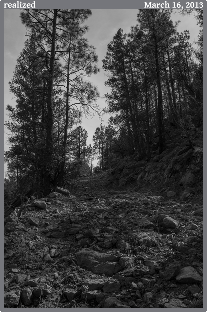 realized, taken 2013-03-16 || Canon Canon EOS REBEL T2i | 24mm | 1/320s @ f/8