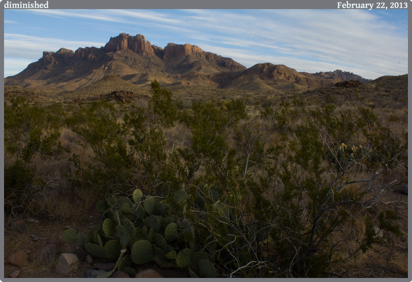 diminished, taken 2013-02-22 || Canon Canon EOS REBEL T2i | 20mm | 1/10s @ f/22