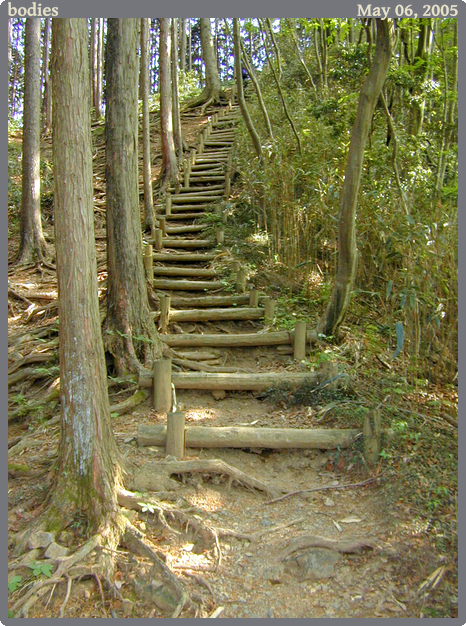 bodies, taken 2005-05-06 || NIKON E950 | 7.6 | 1/30s @ f/2.7