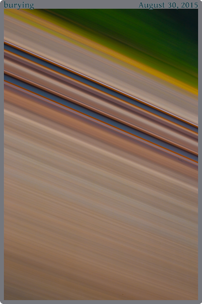 burying, taken 2015-08-30 || None None | None | None @ None