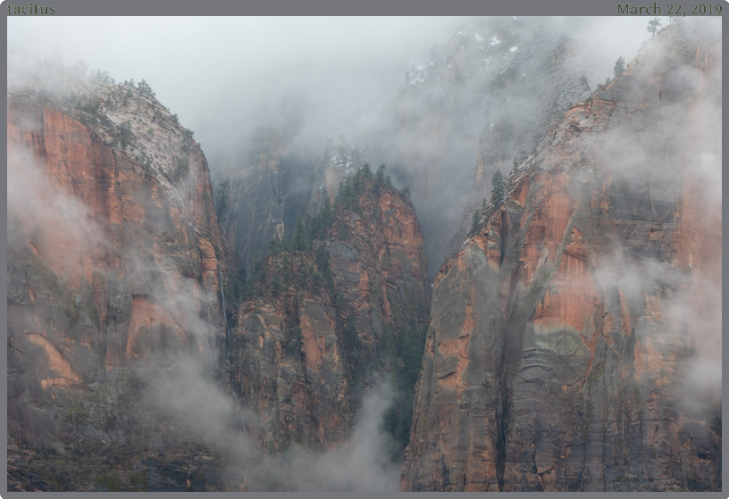 tacitus, taken 2019-03-22 || Panasonic DC-ZS200 | 571mm | 1/160s @ f/5.8