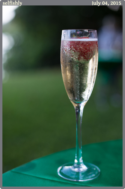 selfishly, taken 2015-07-04 || Canon Canon EOS 6D | 50mm | 1/125s @ f/2.5