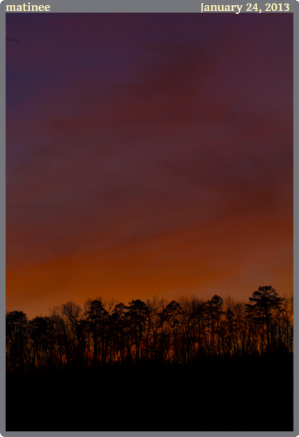 matinee, taken 2013-01-24 || Canon Canon EOS REBEL T2i | 100mm | 1/50s @ f/3.5