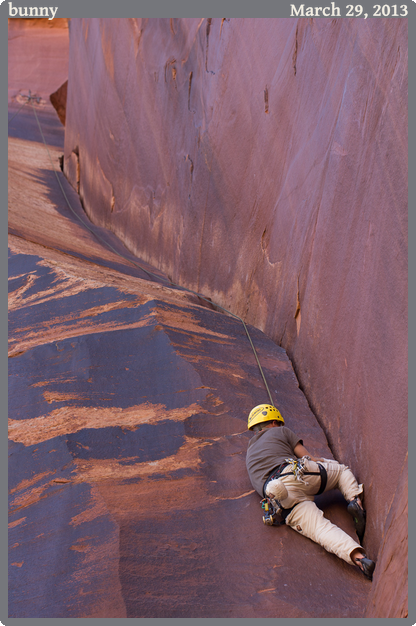 bunny, taken 2013-03-29 || Canon Canon EOS REBEL T2i | 100mm | 1/80s @ f/4.5