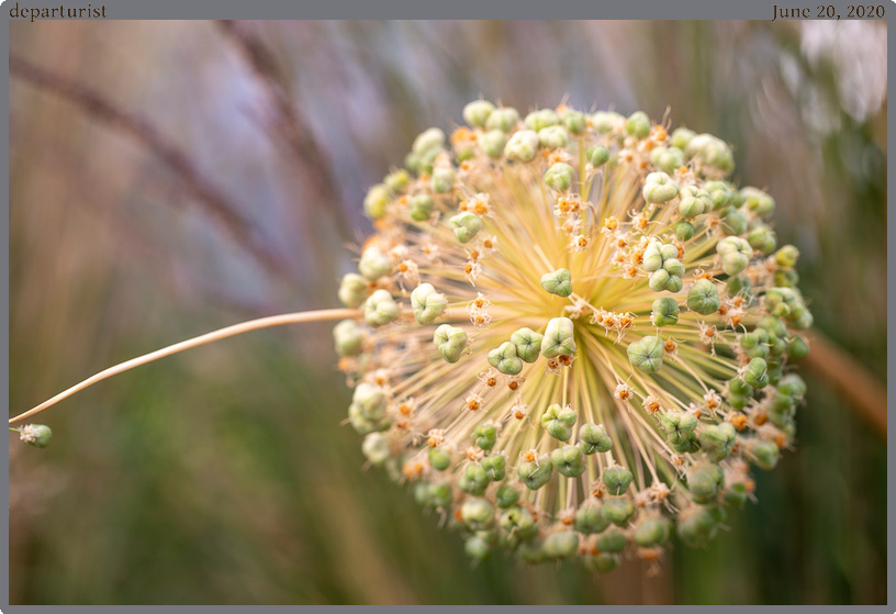 departurist, taken 2020-06-20 || Canon Canon EOS 6D | 100mm | 1/160s @ f/4.5