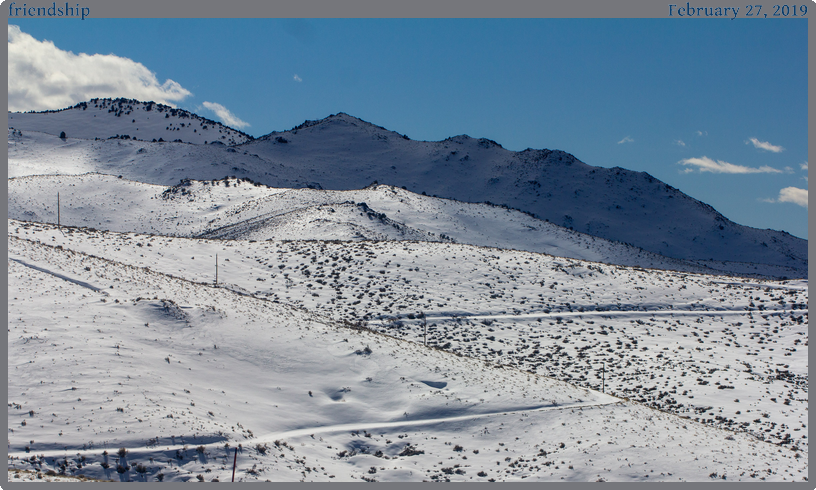 friendship, taken 2019-02-27 || Canon Canon EOS REBEL T2i | 100mm | 1/1600s @ f/6.3