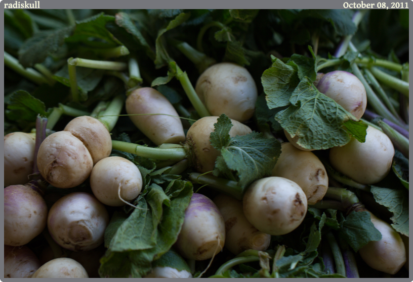 radiskull, taken 2011-10-08 || Canon Canon EOS REBEL T2i | 100mm | 1/50s @ f/2.8