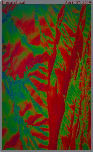 hierarchical, taken 2019-04-07 || Panasonic DC-ZS200 | 989mm | 1/160s @ f/8