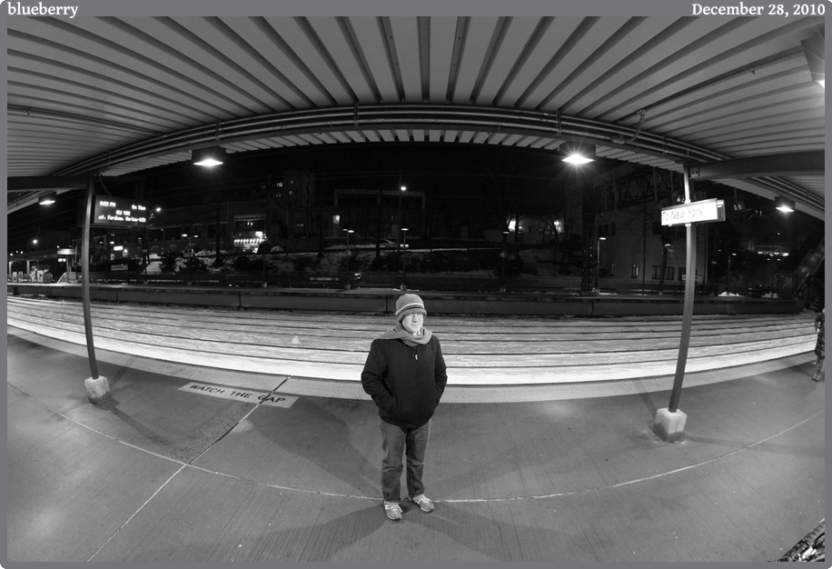 blueberry, taken 2010-12-28 || Canon Canon EOS REBEL T2i | 10mm | 1/25s @ f/4.5