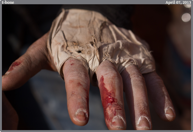 t-bone, taken 2013-04-07 || Canon Canon EOS REBEL T2i | 100mm | 1/1250s @ f/4.5