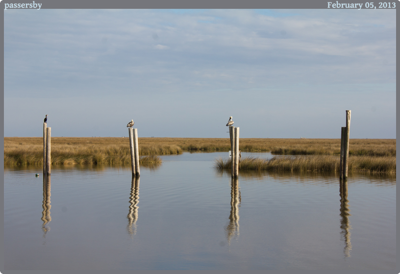 passersby, taken 2013-02-05 || Canon Canon EOS REBEL T2i | 55mm | 1/125s @ f/11