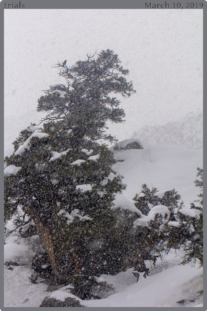 trials, taken 2019-03-10 || Canon Canon EOS REBEL T2i | 100mm | 1/200s @ f/11