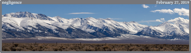 negligence, taken 2019-02-27 || Canon Canon EOS REBEL T2i | 100mm | 1/1600s @ f/6.3