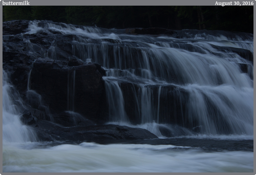 buttermilk, taken 2016-08-30 || Canon Canon EOS REBEL T2i | 55mm | 1/6s @ f/7.1
