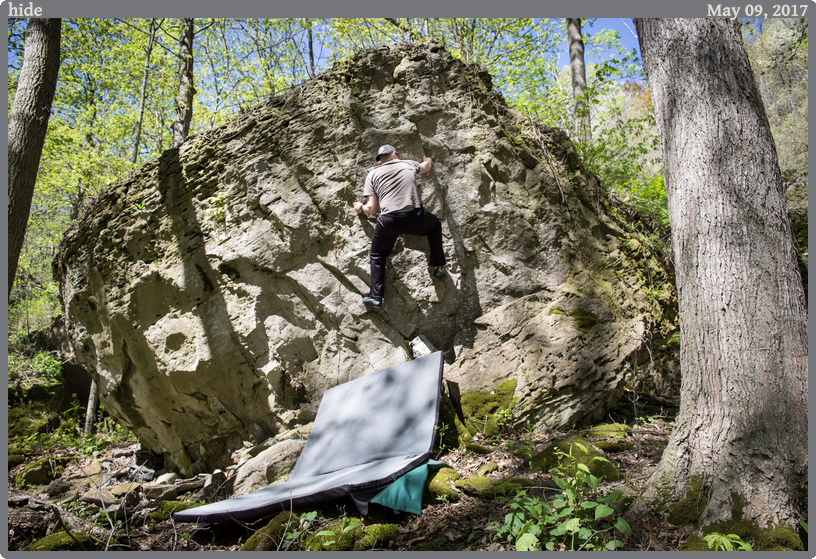 hide, taken 2017-05-09 || Canon Canon EOS 6D | 24mm | 1/100s @ f/7.1