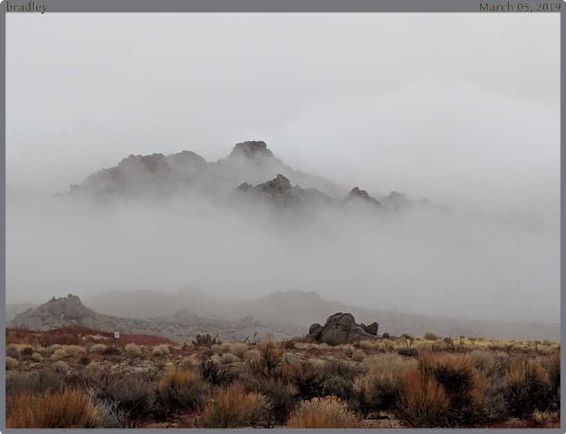 bradley, taken 2019-03-05 || Google Pixel 2 | 4442mm | 1/180s @ f/1.8