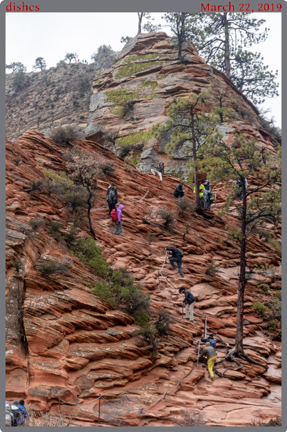 dishes, taken 2019-03-22 || Panasonic DC-ZS200 | 487mm | 1/100s @ f/6.4