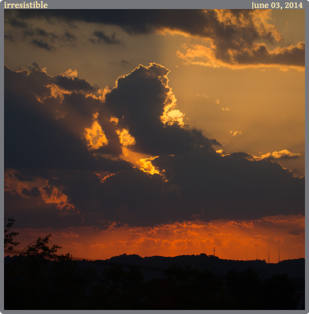 irresistible, taken 2014-06-03 || Canon Canon EOS REBEL T2i | 100mm | 1/2000s @ f/2.8