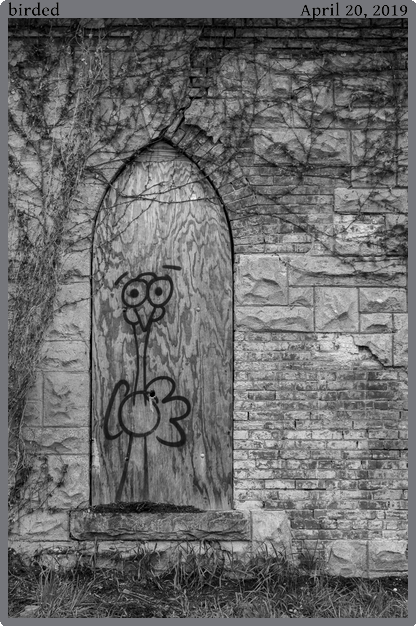 birded, taken 2019-04-20 || Panasonic DC-ZS200 | 252mm | 1/250s @ f/4.6